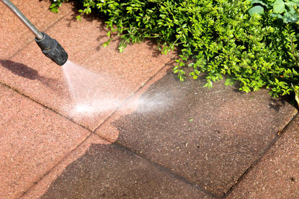 Best Pressure Washing Driveway  in Julian, CA